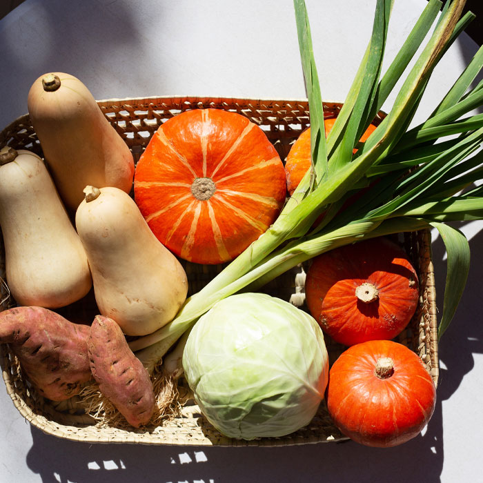 Légumes Bio Comptoir Paysan Sidi-Ghanem Marrakech