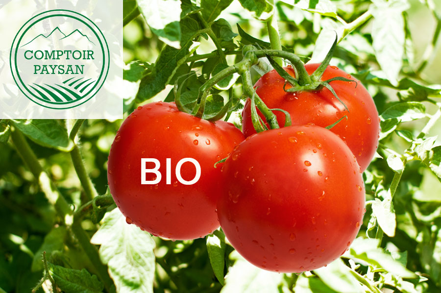 Bio au Comptoir Paysan