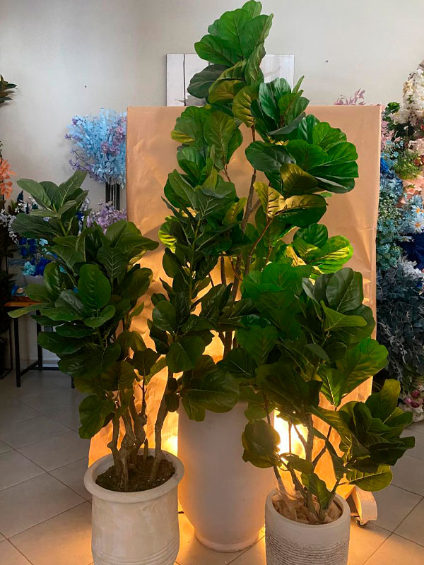 Plantes Marrakech Stean Art Sidi-Ghanem