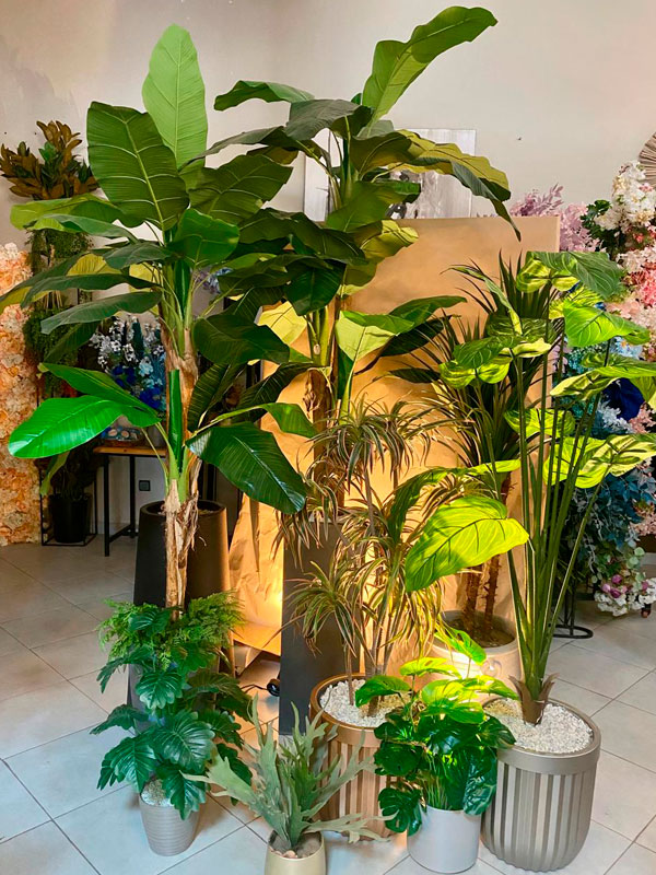 Plantes Marrakech Stean Art Sidi-Ghanem