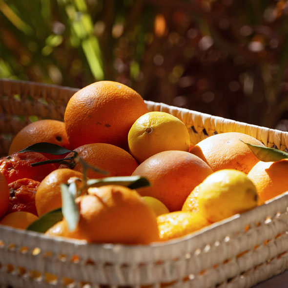 Comptoir Paysan Fruits et légumes Bio Sidi-Ghanem