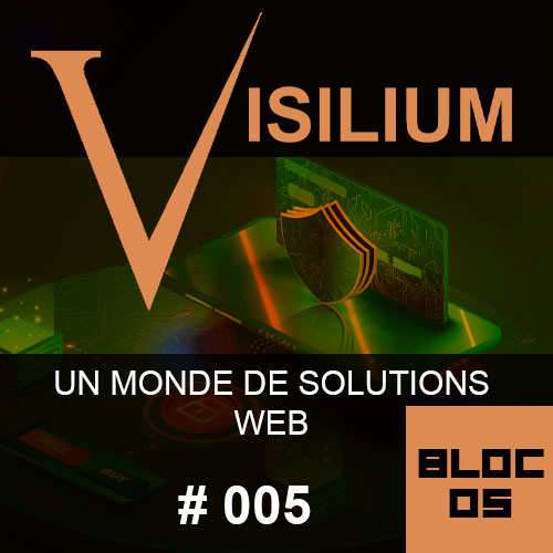 Agence Web Marrakech Visilium Marrakech