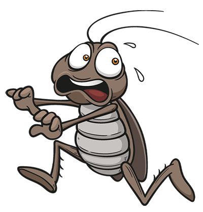 Désinsectisation V3D Marrakech