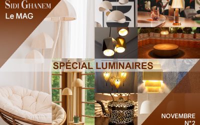 Créateurs de luminaires à Sidi-Ghanem