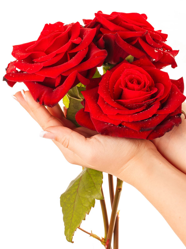 Composition Fleurs Marrakech<br />
Stean Art Floral Sidi-Ghanem