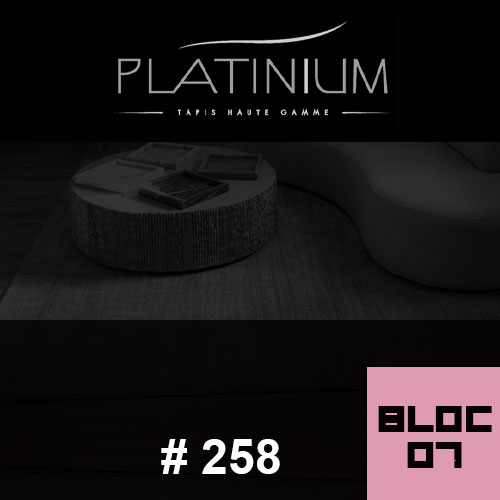 Platinium de Sidi-Ghanem Platinium de Sidi-Ghanem